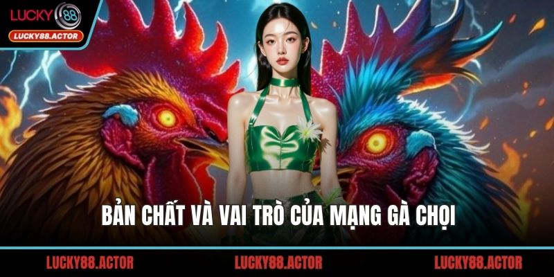 Bản chất và vai trò của mạng gà chọi