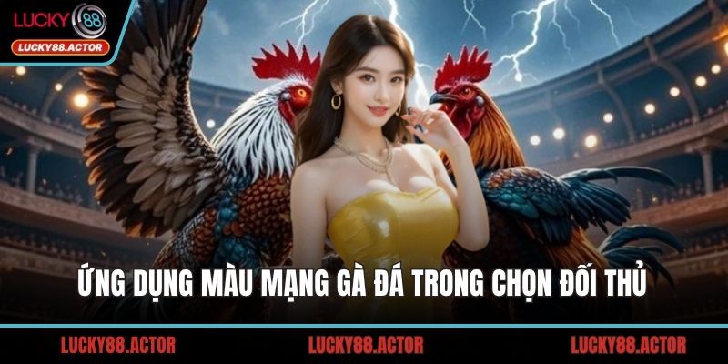 Ứng dụng màu mạng gà đá trong chọn đối thủ